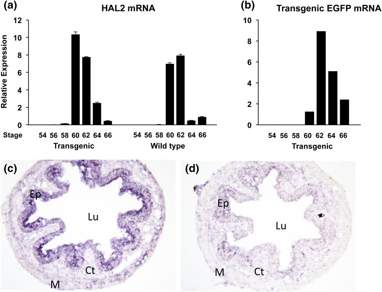 Figure 6.