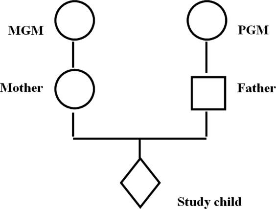 Figure 1