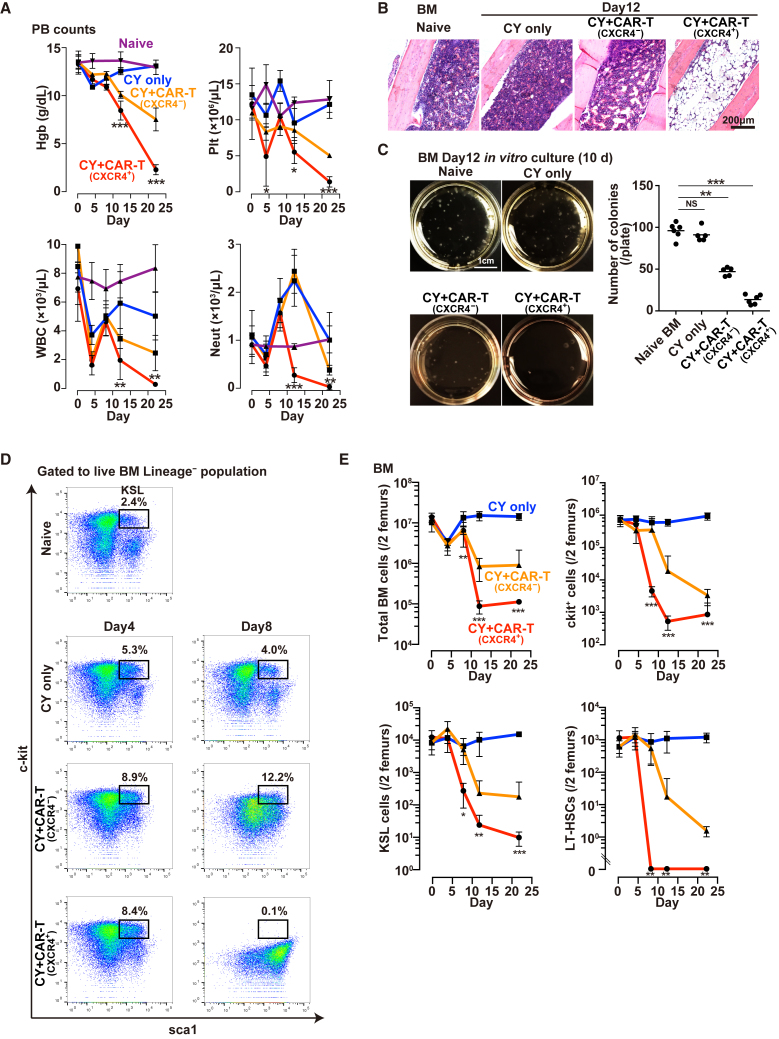 Figure 4