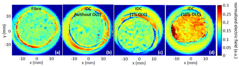 Fig. 10