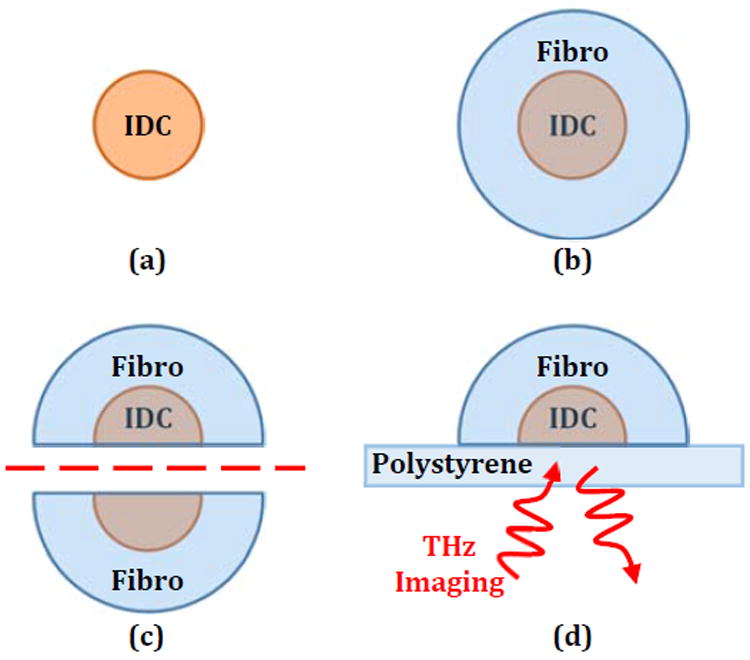 Fig. 11