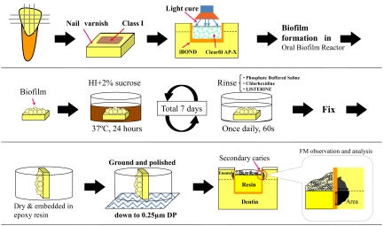 Fig. (2)