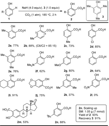 Scheme 2