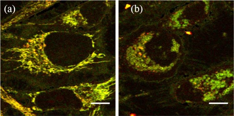 Fig. 4.