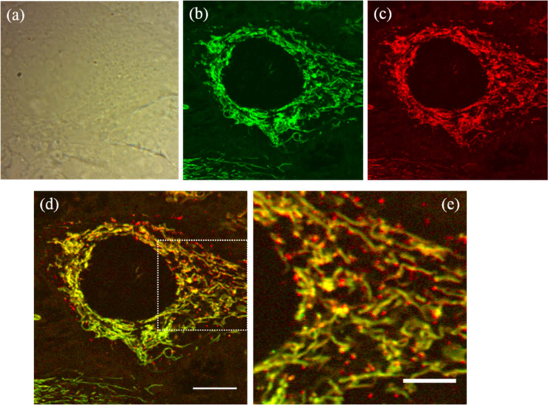 Fig. 2.