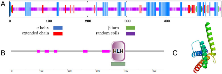 Figure 2