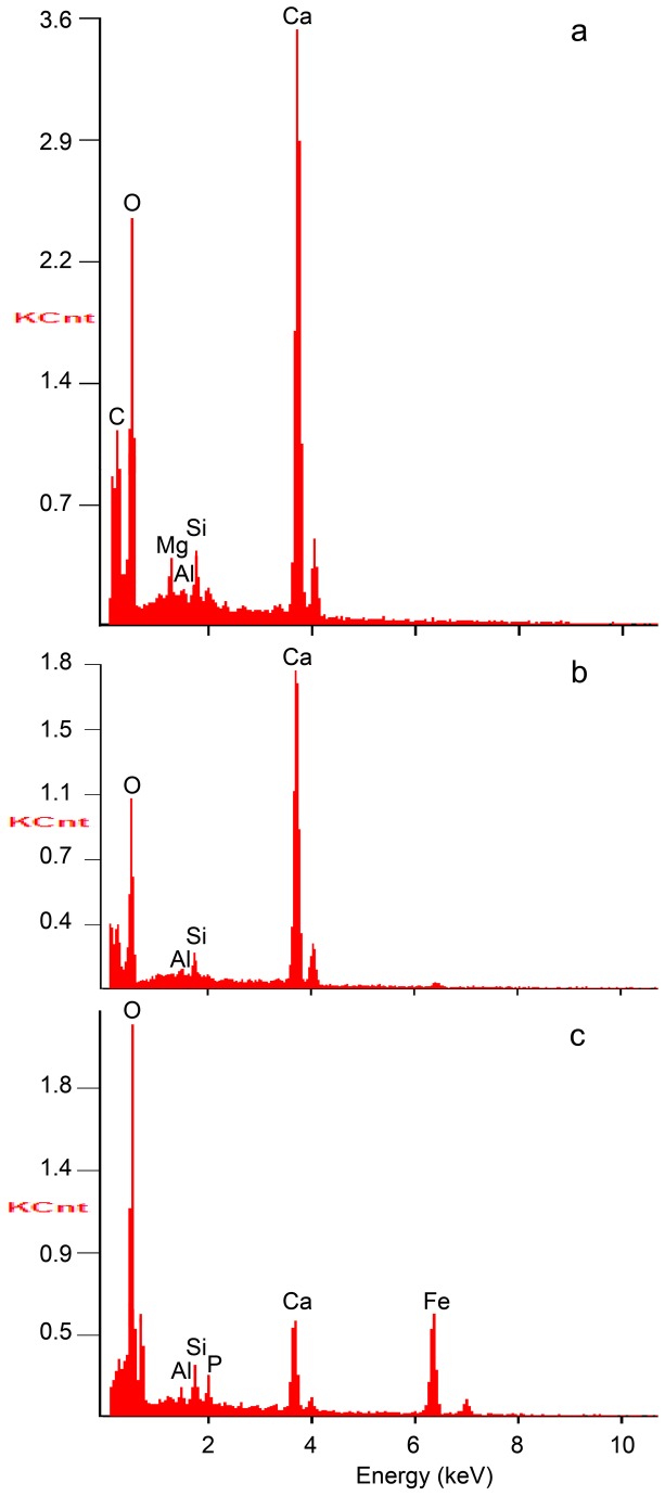 Figure 8