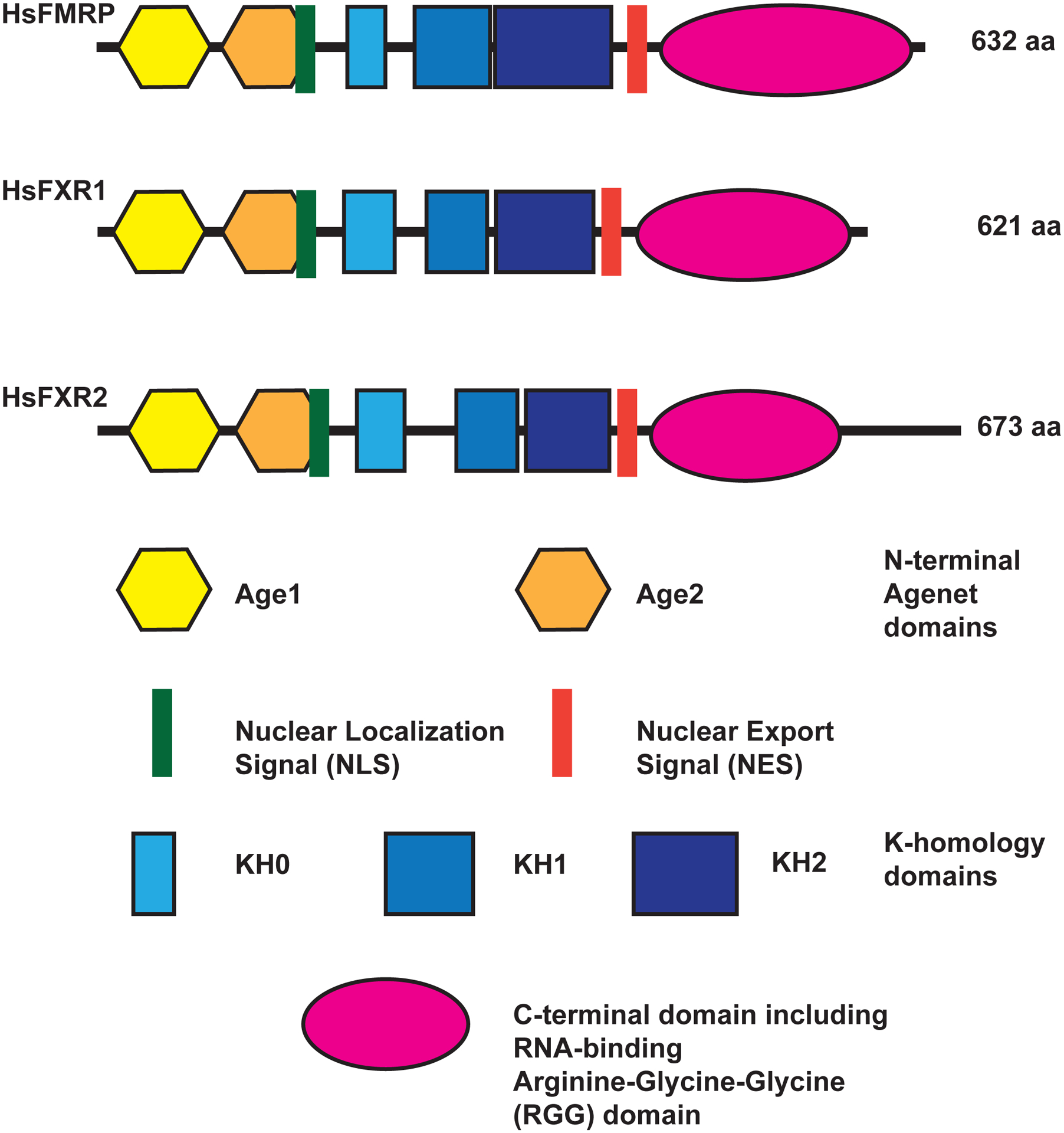 Figure 1: