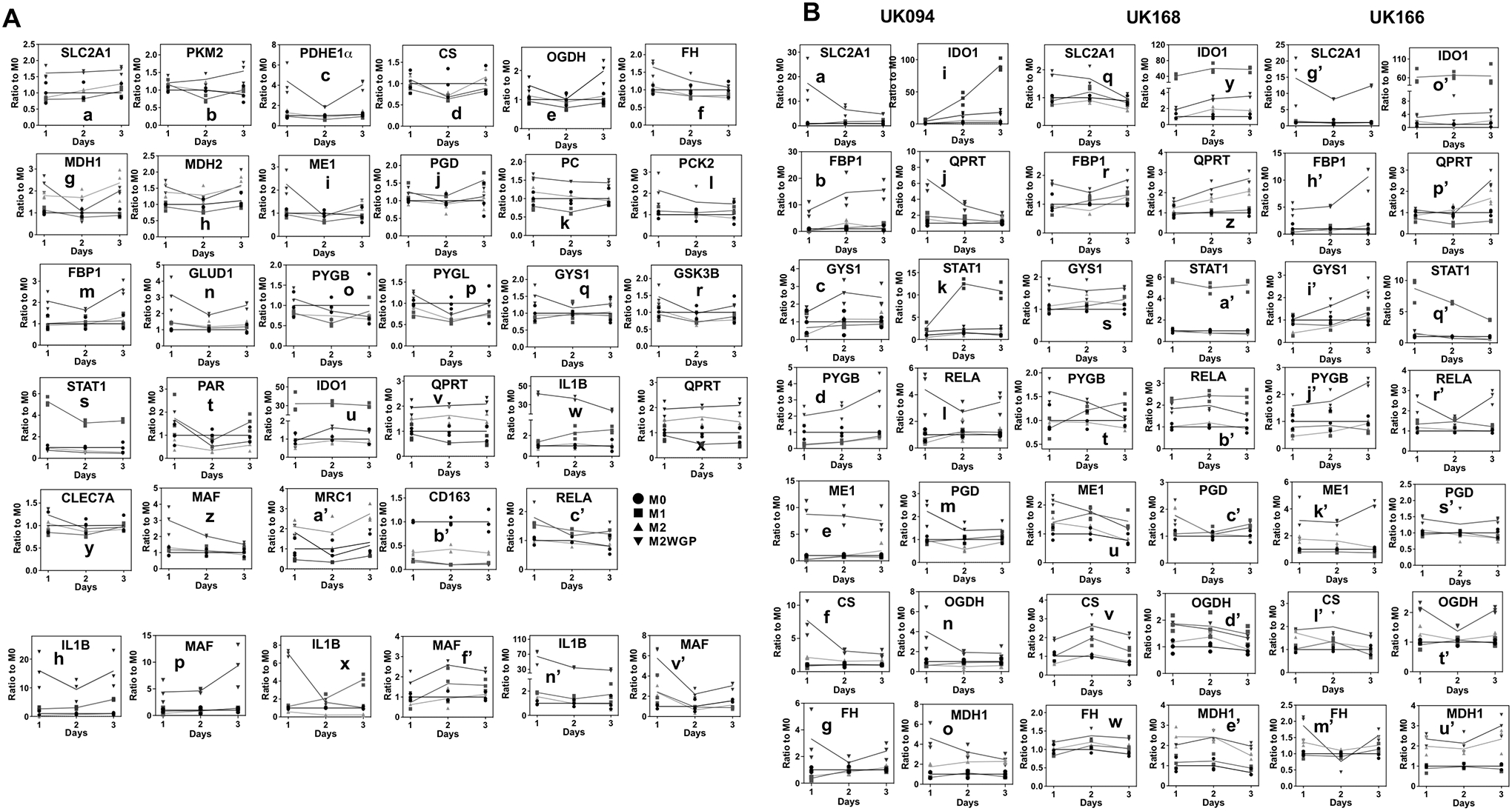 Figure 5.
