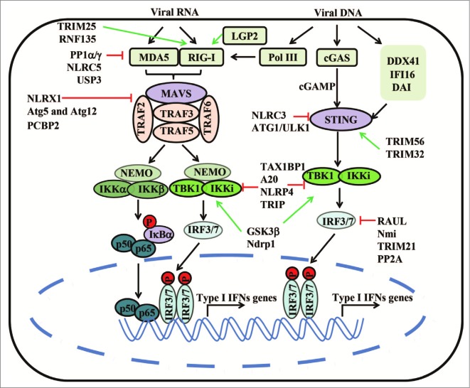 Figure 3.