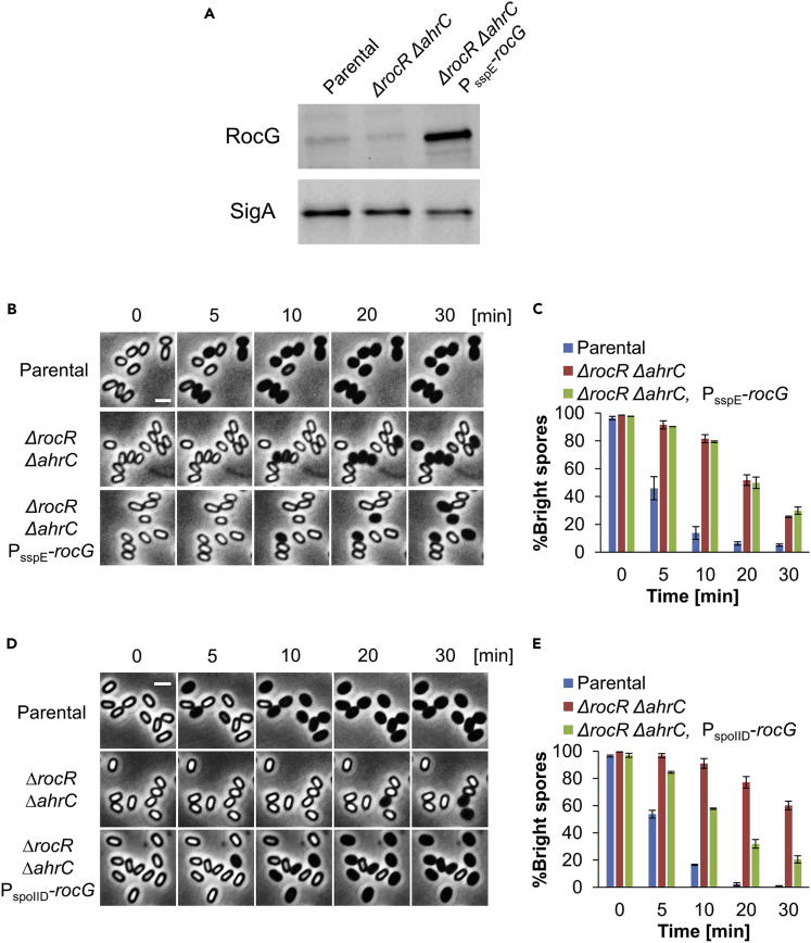 Figure 3