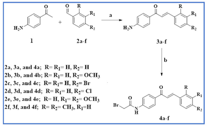 Scheme 1