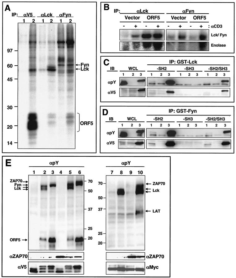 FIG. 5.