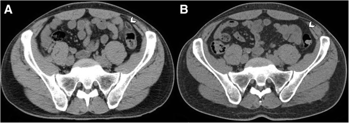 Fig. 7