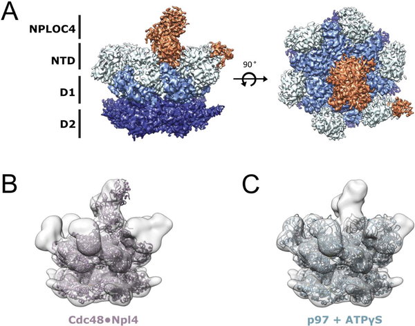 Figure 3.