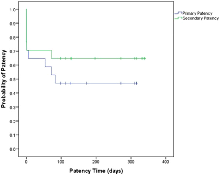 Fig. 4 Combined Kaplan–Meier curve for patency.