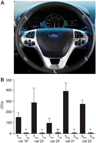 Figure 4.