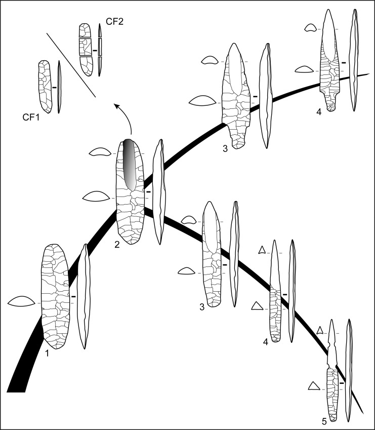 Fig 8