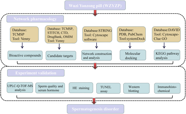 FIGURE 1