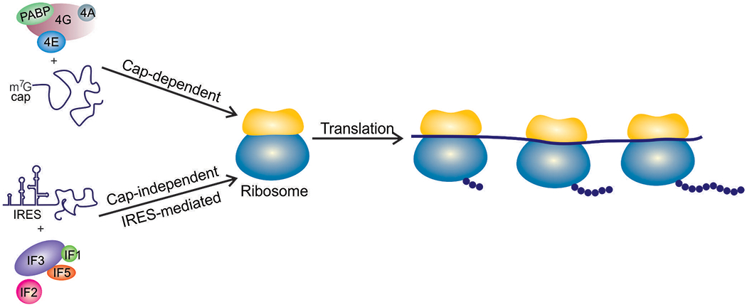 Figure 1: