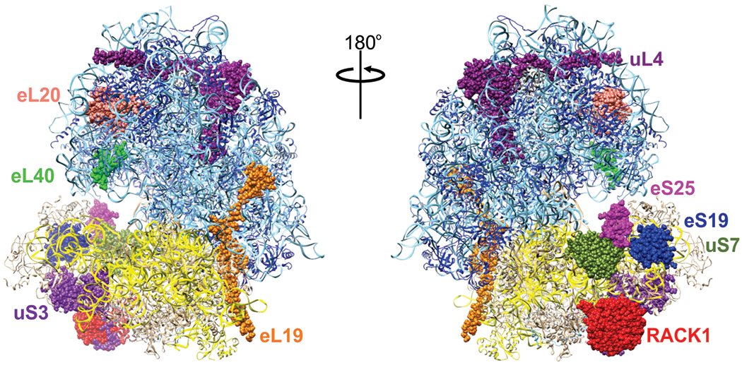 Figure 2: