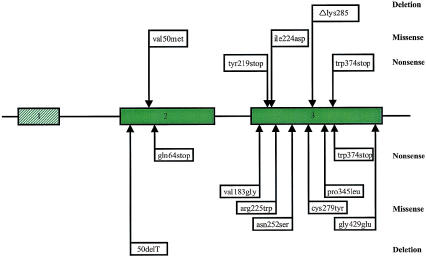 Figure  1