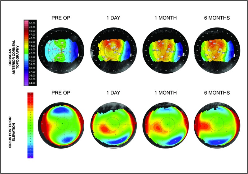 FIGURE 3