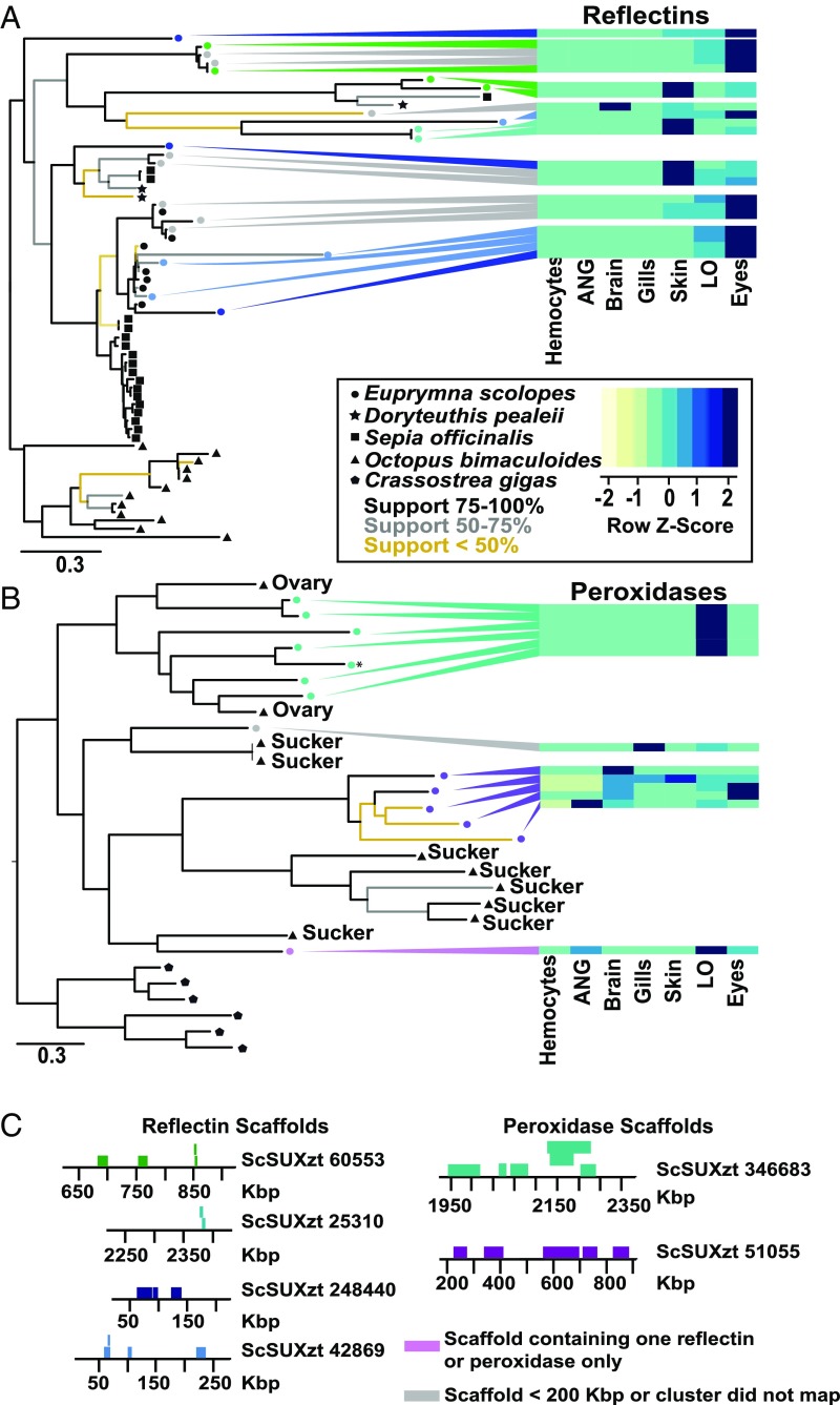 Fig. 4.