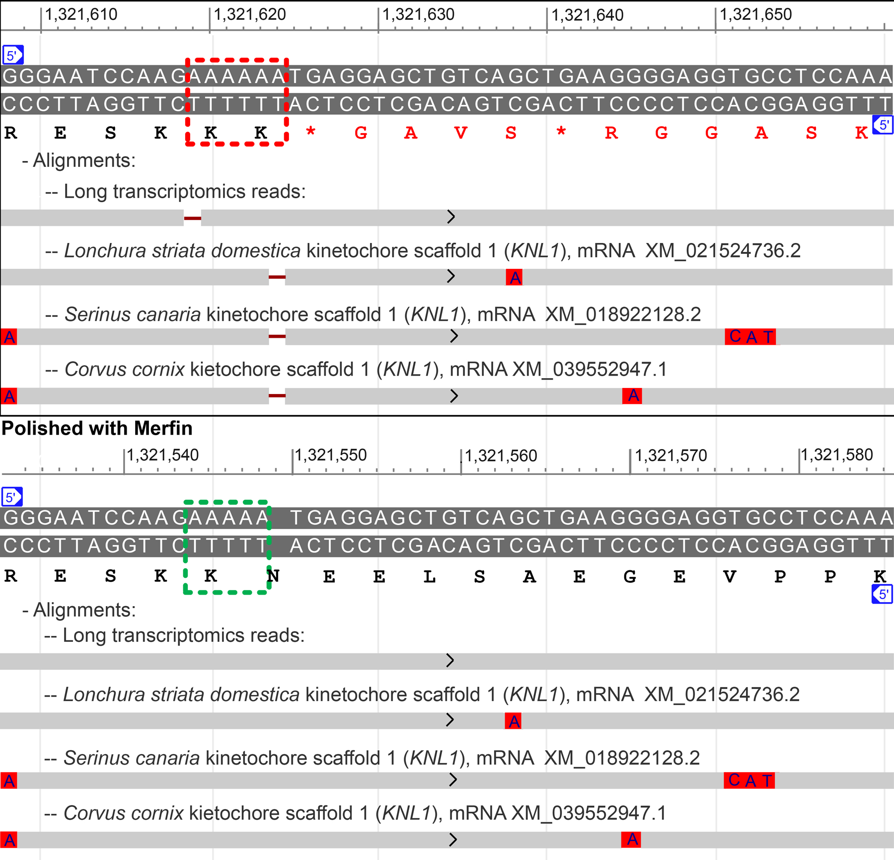 Extended Data Fig. 9 |