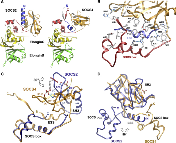 Figure 3