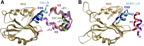 Figure 5