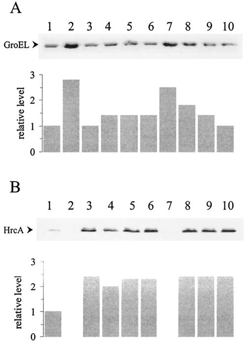 FIG. 5.