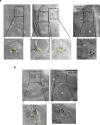 Fig. 9