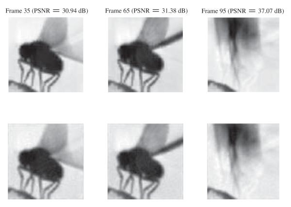 Fig. 11