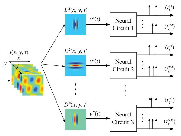 Fig. 6