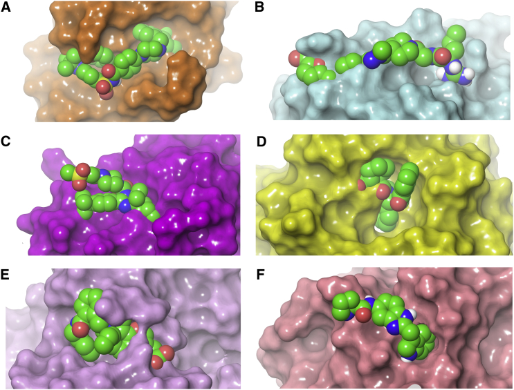 Figure 2