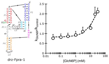 graphic file with name nihms929701u1.jpg