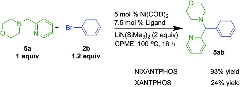 Scheme 8