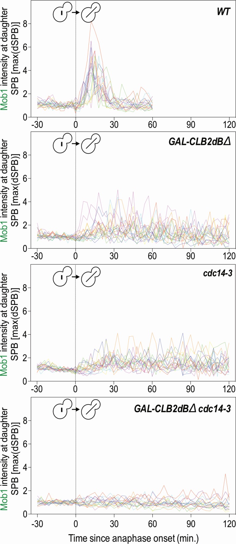 Figure 4—figure supplement 1.