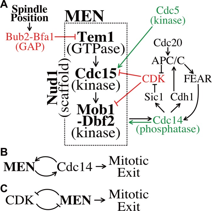 Figure 7.