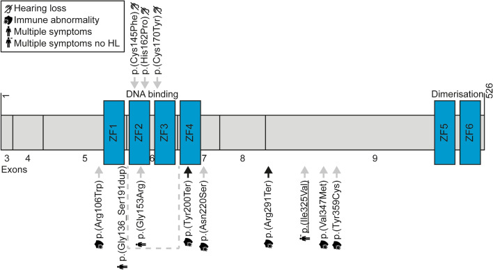 Fig. 2