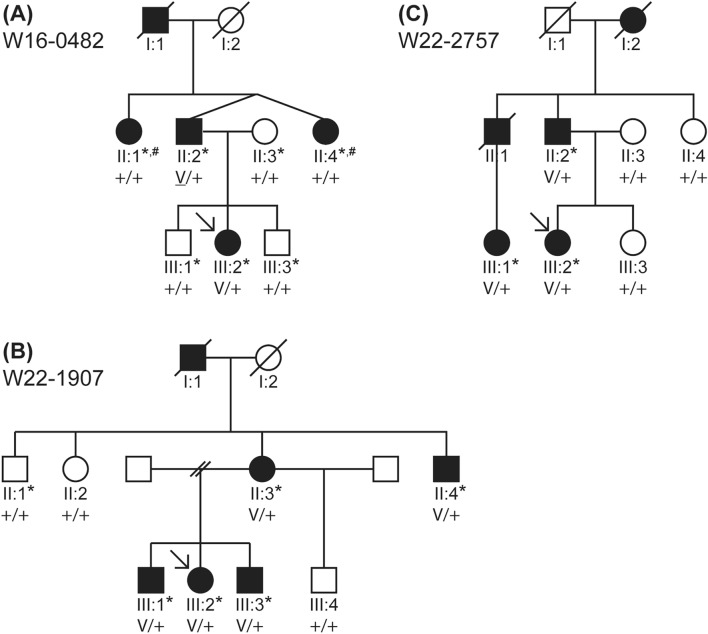 Fig. 3