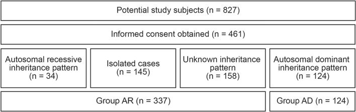 Fig. 1