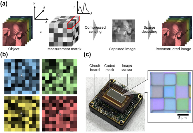 Figure 19: