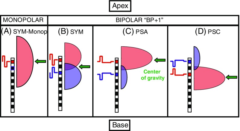 FIG. 1