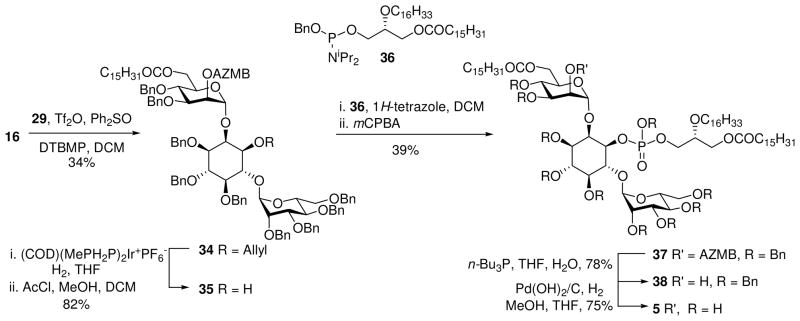 Scheme 5