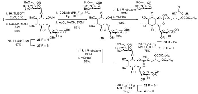 Scheme 3