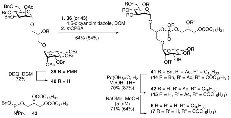 Scheme 6