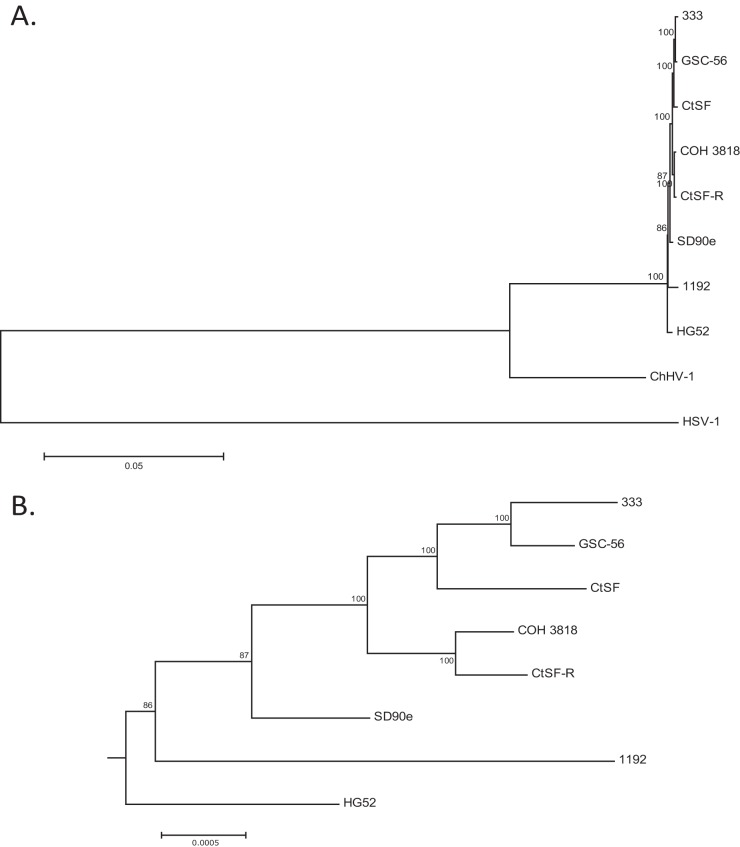 FIG 3