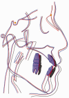 Figure 9.